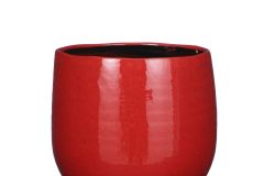 Vasi ceramica